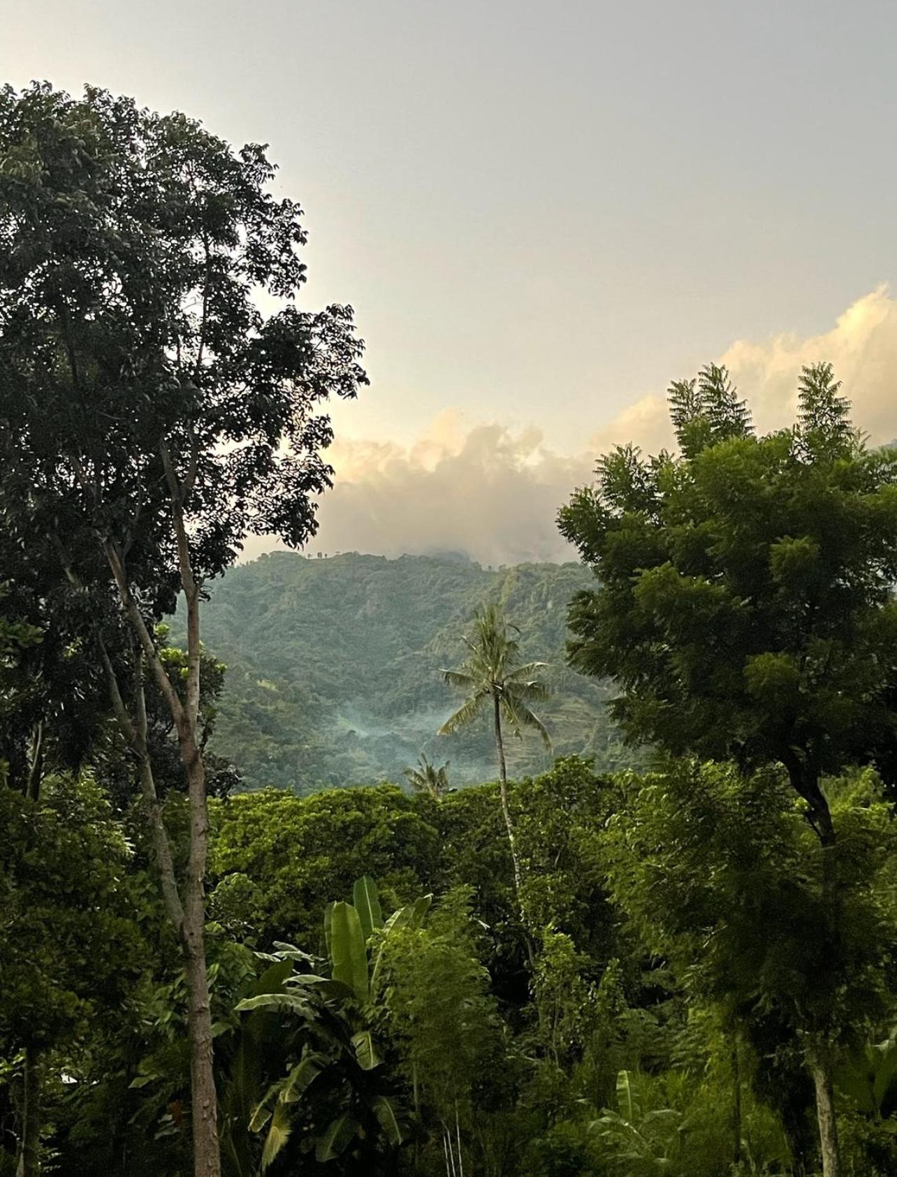Tropical Habitat Bali Amed Exterior foto