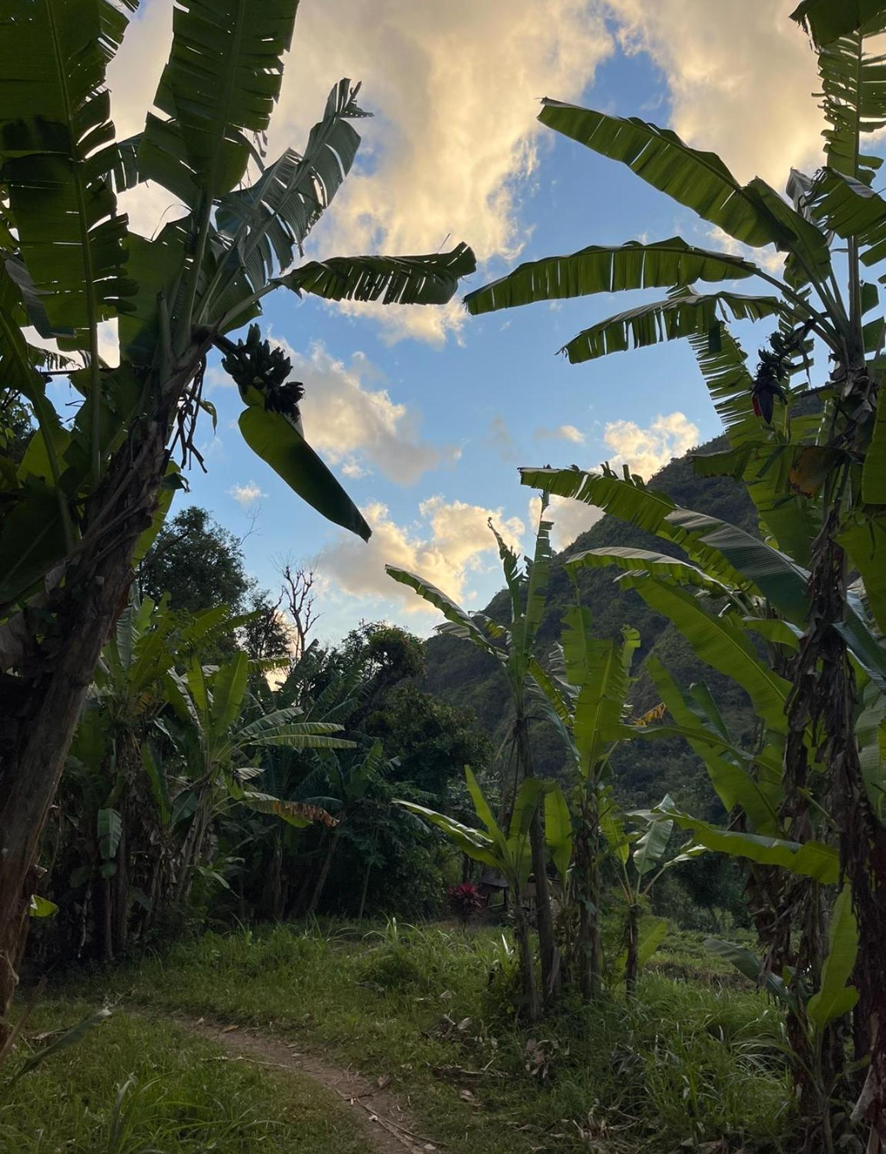 Tropical Habitat Bali Amed Exterior foto