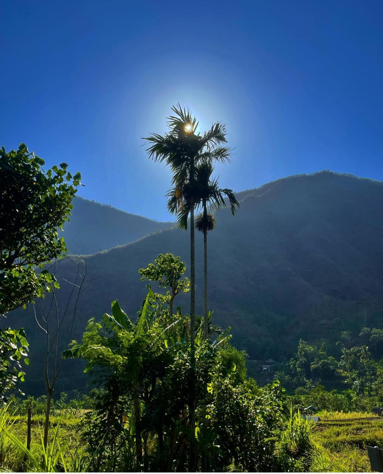 Tropical Habitat Bali Amed Exterior foto